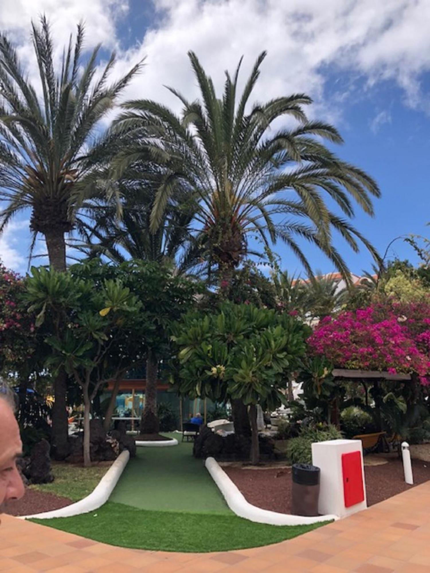 プラヤ・デ・ラス・アメリカスWonderland With The Best Swimming Pool In Park S IIIアパートメント エクステリア 写真